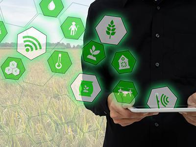 数字赋能农业 以信息化建设与互联网销售拓展农产品营销新渠道